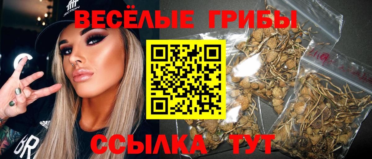 что такое наркотик  Вход с VPN  Кашира  Галлюциногенные грибы прущие грибы 