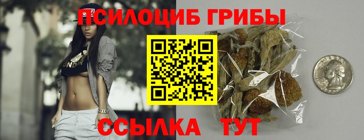 Галлюциногенные грибы мухоморы Кашира